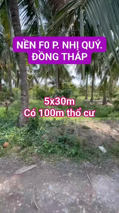 Đất Nền F0 Nhị Quý, Cai Lậy - Sổ Thổ Cư Sẵn Sàng - 180m²