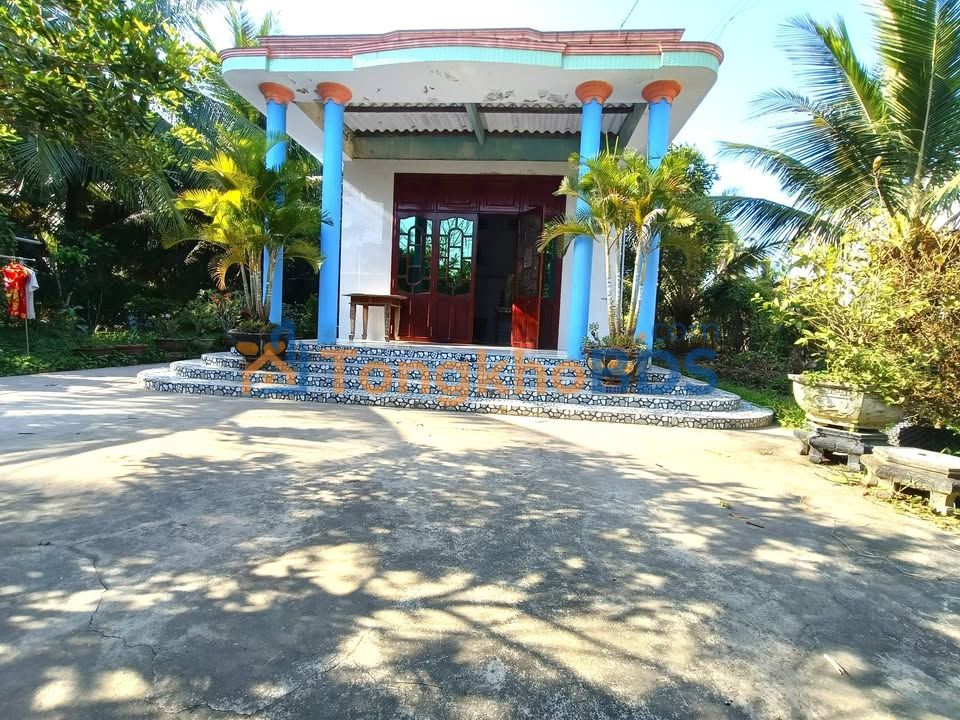 Đất Vườn Tiền Giang 1105m² - Hướng Nam Mát Mẻ, Gần Tỉnh Lộ 877