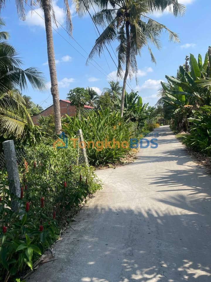 Đất Vườn Tiền Giang 3000m² - Sẵn Sàng Trồng Trọt, Giá Đầu Tư 4.8 Tỷ