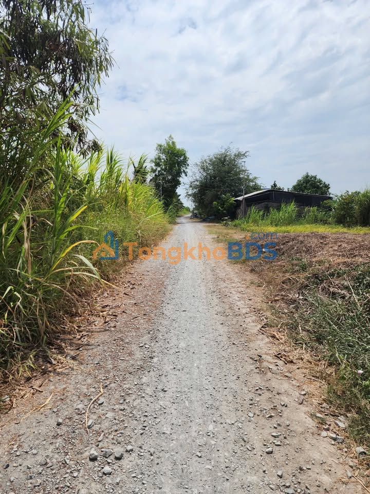 Đất Vườn Tiền Giang 3000m² - Mặt Tiền Kênh Bờ Bao, Gò Công Đông