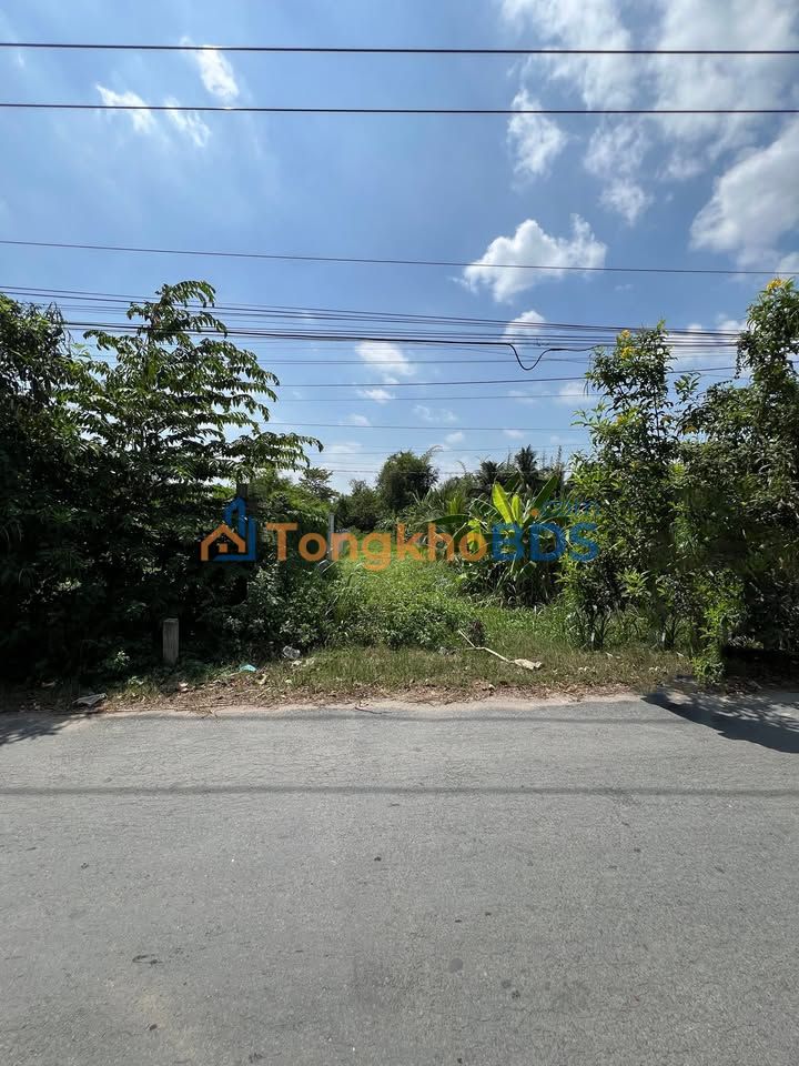 Đất Vườn 374m² Mặt Tiền Huỳnh Văn Nhiều, Châu Thành, Tiền Giang - Giá Tốt