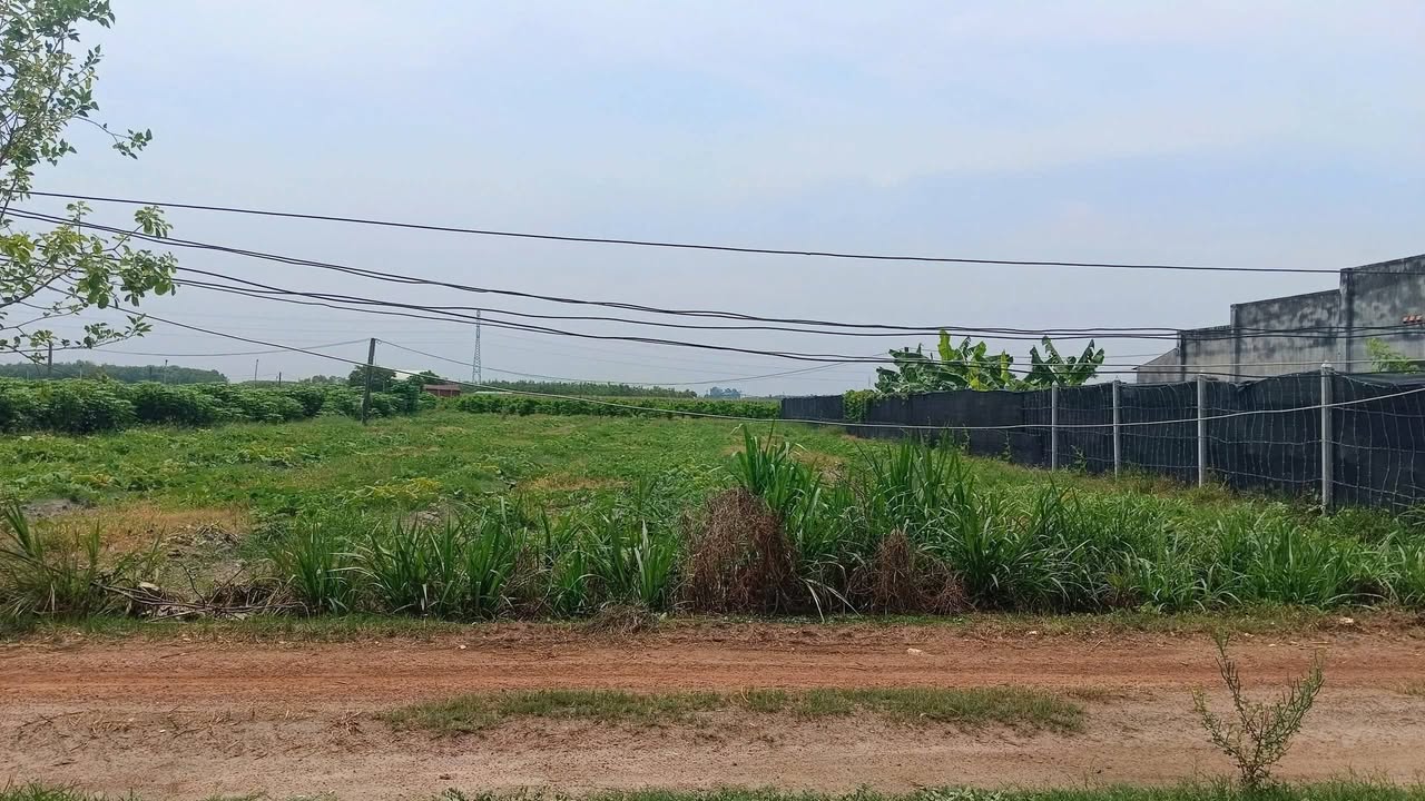 Đất Vườn Dương Minh Châu 355m² - Giá 2xxtr, Sẵn Nền Xây Dựng