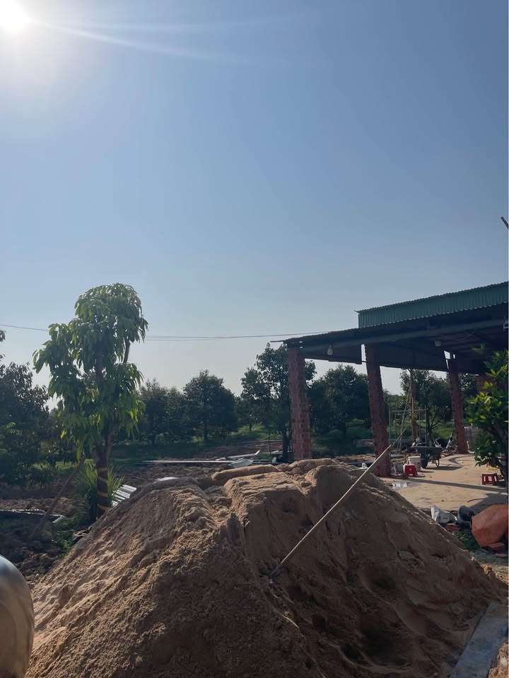 Farm Sầu Riêng Ri6 Musaking 4.2ha - Tân Biên, Tây Ninh - 9.37 Tỷ