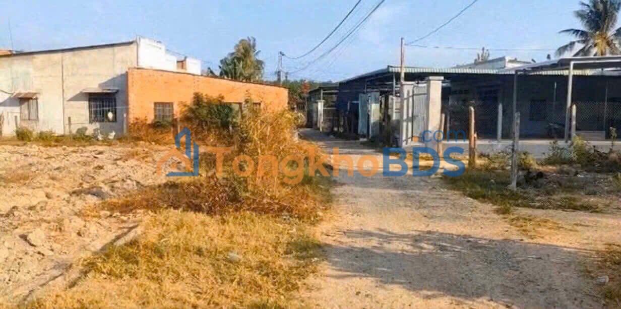 Đất Phước Minh, Dương Minh Châu, Tây Ninh - 176.8m² Thổ Cư, Cắt Lỗ Sâu Sập Hầm!