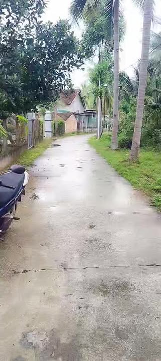 Bán đất 180m² Hoài Châu Bắc - Sổ đỏ chính chủ, giá đầu tư 8xx triệu