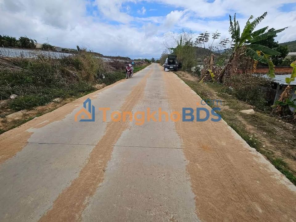 Đất Nền Ka Đơn, Lâm Đồng - 4500m² Sổ Đỏ, View Rừng Thông