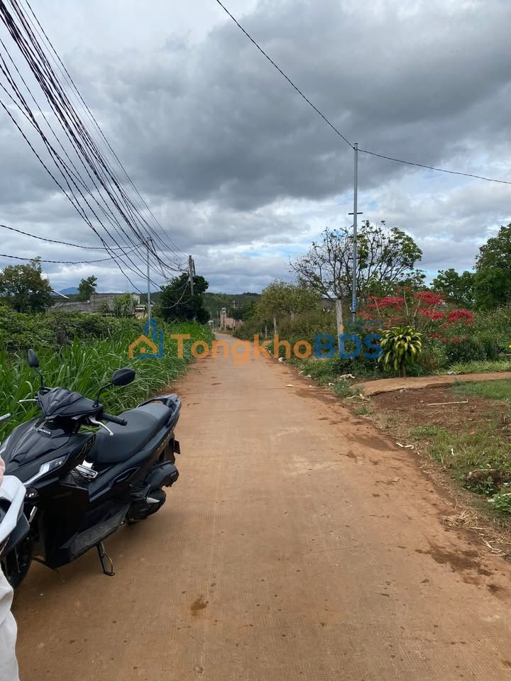 Đất nền Tân Hội, Lâm Đồng 299m² - Sổ đỏ sẵn, giá 1.3 tỷ