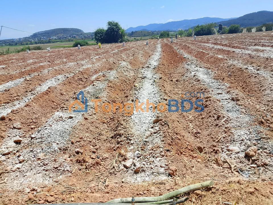 Bán 5 Sào Đất Vườn Xã T'Lach, Đơn Dương - Gần Chùa Ấn Độ, View Đẹp