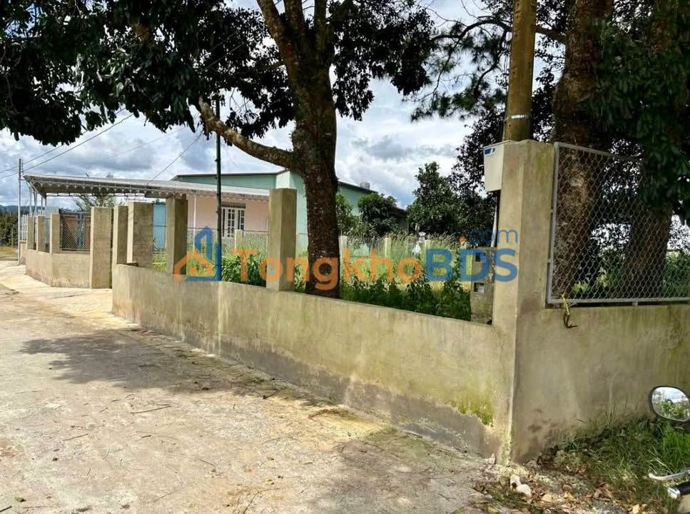 Đất Vườn Bảo Lộc 688m² - 2.9 Tỷ, View Thông Cổ Thụ, Sẵn Sàng Kinh Doanh Homestay