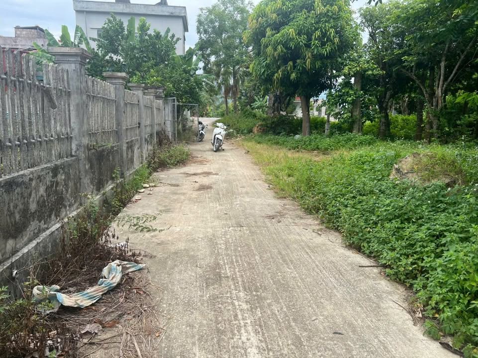 Đất nền Triệu Sơn, Thanh Hóa - 100m² gần QL45, sổ đỏ chính chủ