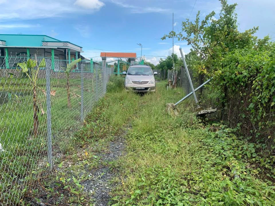 Đất Vườn 1875m² Sổ Hồng Sẵn - Phước Lâm, Cần Giuộc, Long An - Giá 4 Tỷ