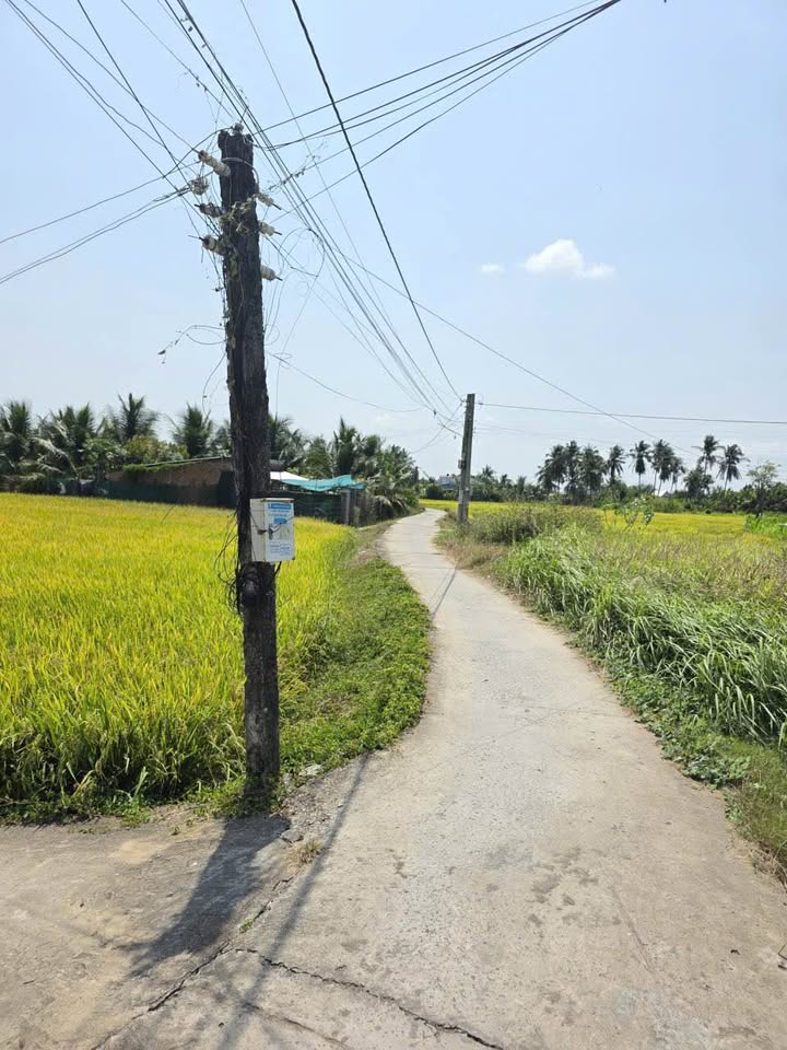 Đất Gò Công 299m² Giá Ngộp 285 Triệu - Sổ Hồng Sẵn Sàng