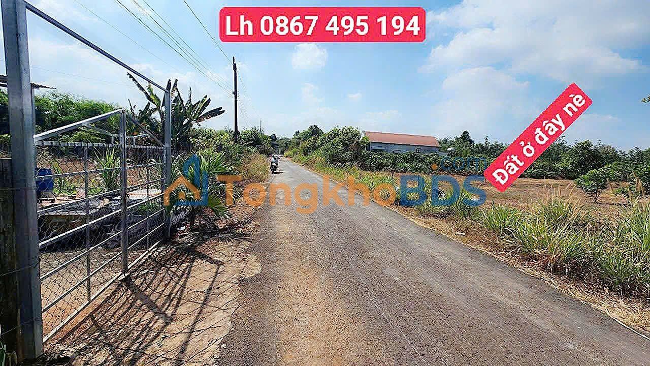 Đất Nền Bình Chánh 500m² Sổ Đỏ Sẵn Sàng - 390 Triệu/Lô