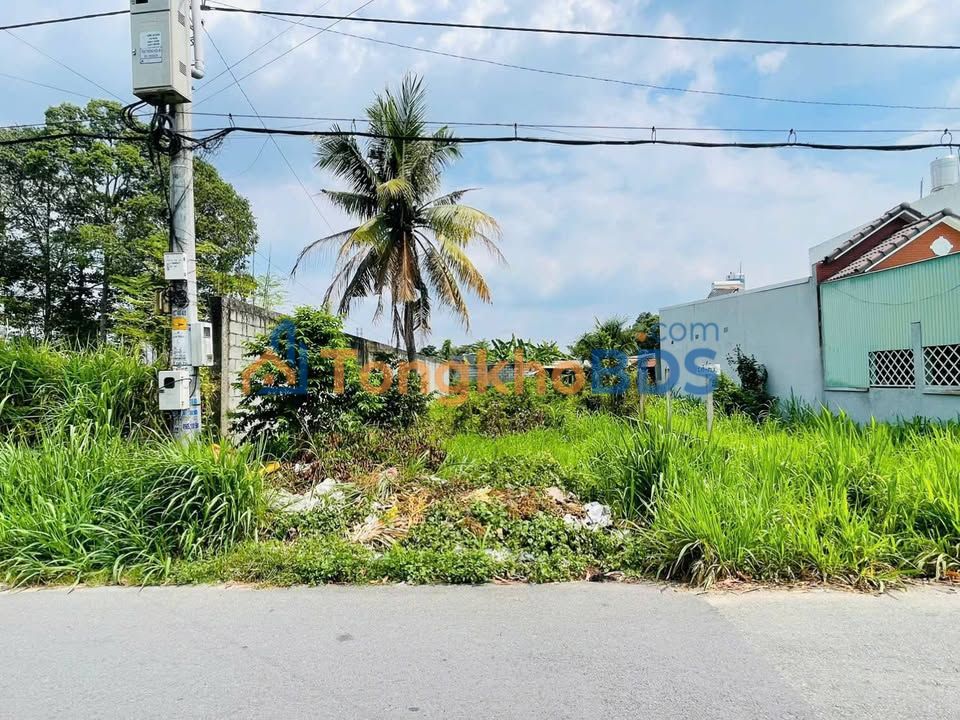 Đất Mặt Tiền Củ Chi 252m² Sổ Hồng Riêng - Kinh Doanh Thoải Mái