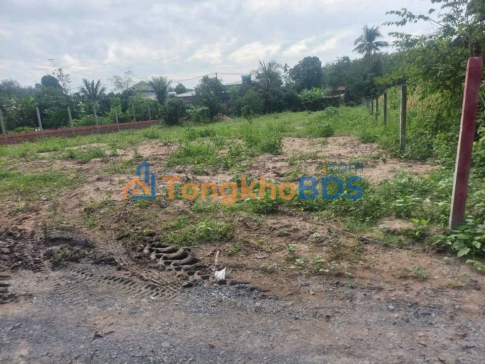 Bán Đất An Nhơn Tây Củ Chi 1000m² - Sổ Hồng Thổ Cư, Giá Hơn 3 Tỷ