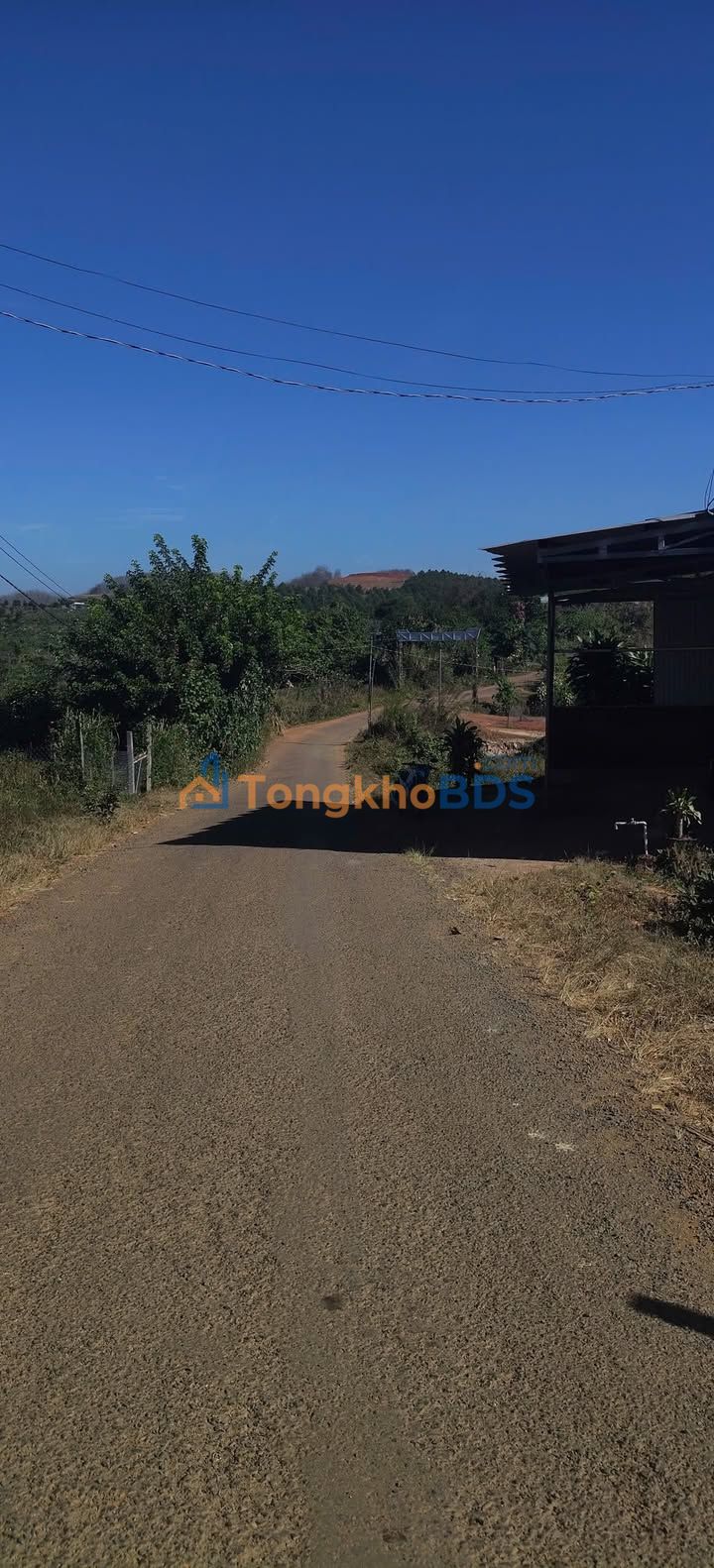 Farm 25920m² Lộc Bắc, Bảo Lâm - 2.4 Tỷ, Sổ Đỏ, Vườn Trái Cây Trĩu Quả