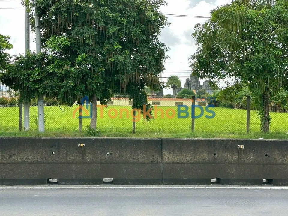 Bán Đất Mặt Tiền QL1A, Vĩnh Lợi, Cà Mau - 385m² Thổ Cư & Cây Lâu Năm, Hướng Đông