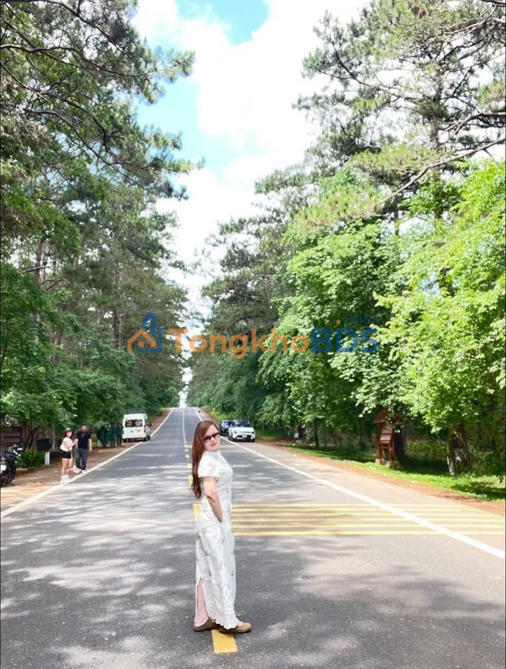 Đất nền Thăng Bình 1800m² - 3 lô liền kề, giá chỉ từ 4xx triệu