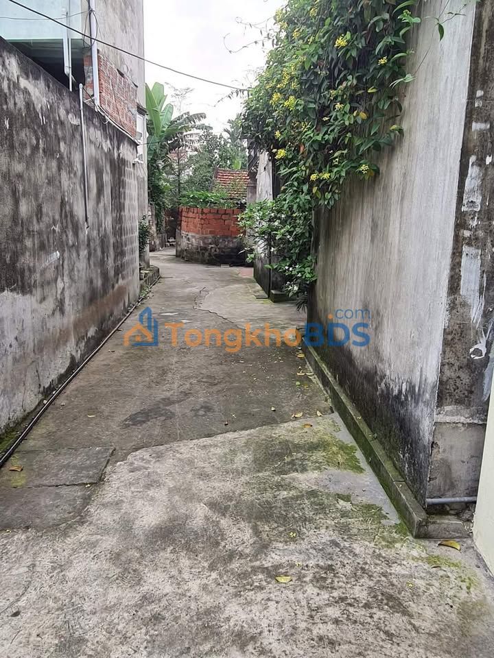 Bán Đất Thổ Cư Hoa Động 116.9m² - Sổ Đỏ Lâu Dài, Giá 1.25 Tỷ