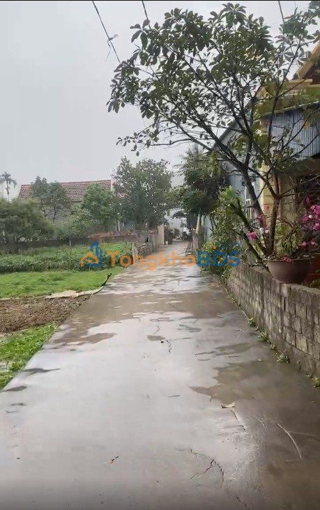 Đất nền Thủy Nguyên 71.7m² - Ngõ ô tô, sát Hoàng Huy, giá đầu tư 1.3 tỷ