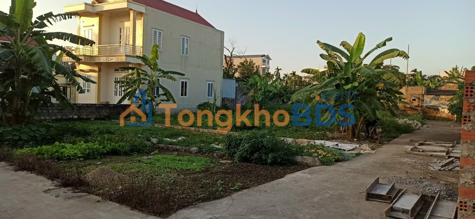 Bán Đất Vàng Hoa Động 87m² - Trung Tâm Thủy Nguyên, Giá Chỉ 1.55 Tỷ