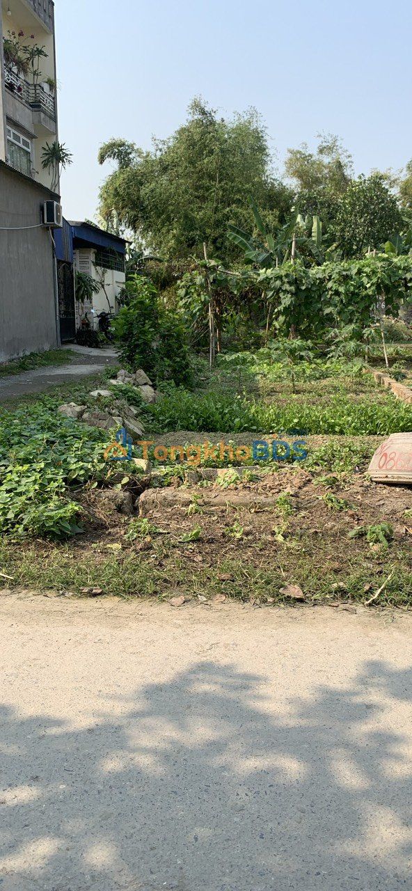 Bán Đất Lô Góc Hoa Động, Thủy Nguyên - 100m² Kinh Doanh Đắc Địa, Giá 2.35 Tỷ