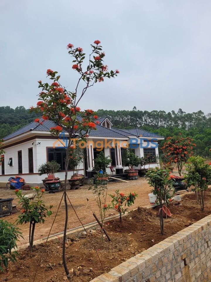 Bán Gấp Farm 30.000m² Chí Linh, Hải Dương - Có Nhà Vườn Mới Xây