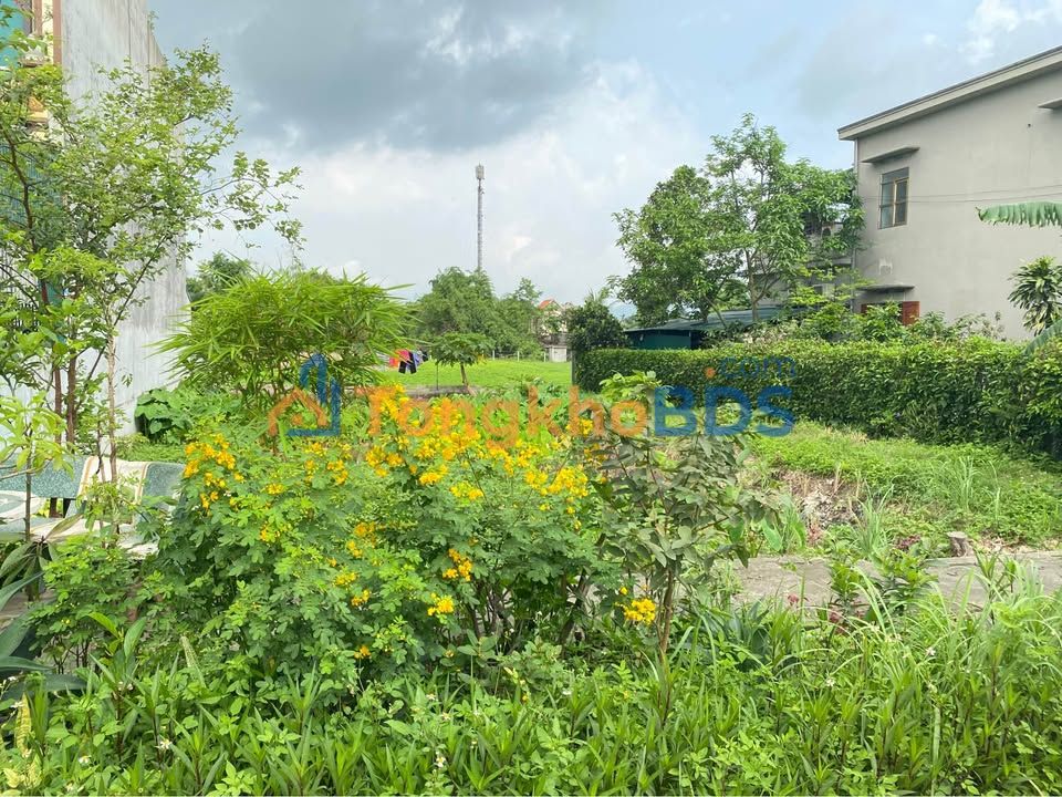 Đất Nền Hồng Thái Đông 100m² - Giá 1 Tỷ - Sổ Đỏ Chính Chủ