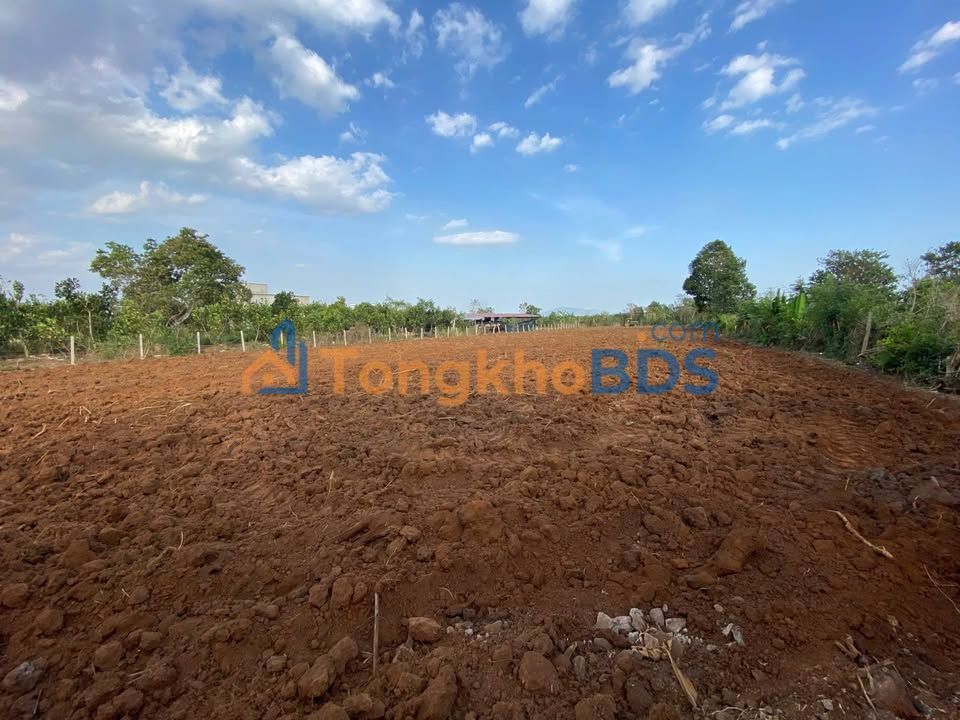 Bán Gấp 18.000m² Đất Đỏ Bazan Xuân Tây, Hóc Môn - Giá Đầu Tư 3 Tỷ