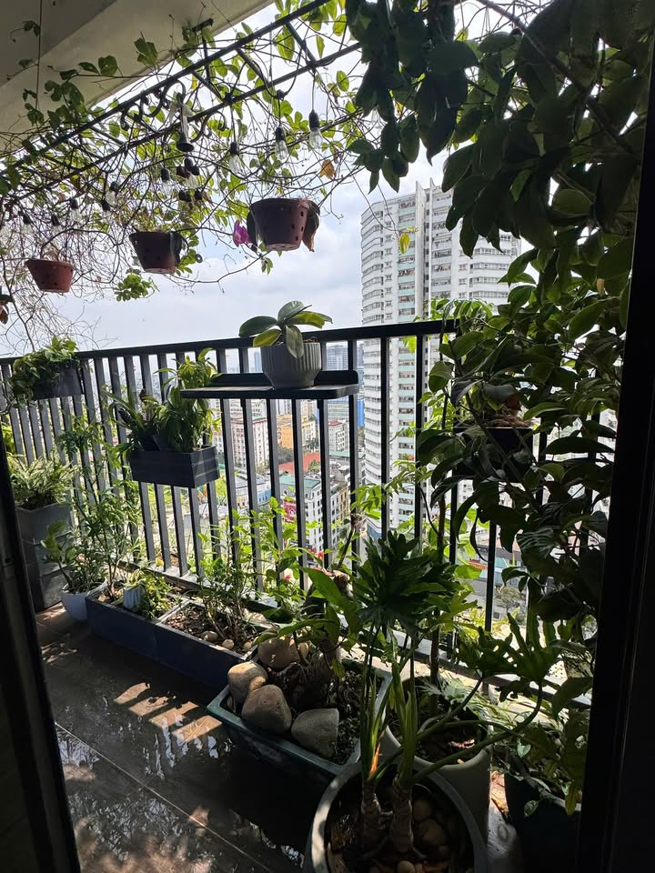 Cho thuê căn hộ SIX ELEMENT 109m² 3PN - Full nội thất, sẵn sàng ở ngay!