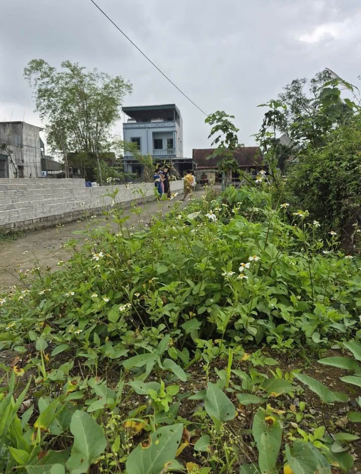 Đất nền Phủ Lý 58m² - Sổ đỏ sẵn, giá từ 1.4 tỷ