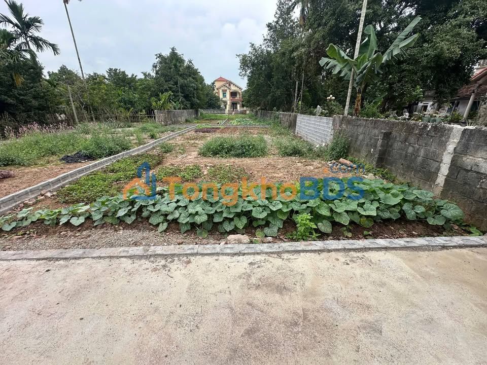 Đất Nền Lý Nhân, Hà Nam 177m² - Giá Đầu Tư 1.2 Tỷ, Sẵn Sàng Xây Dựng