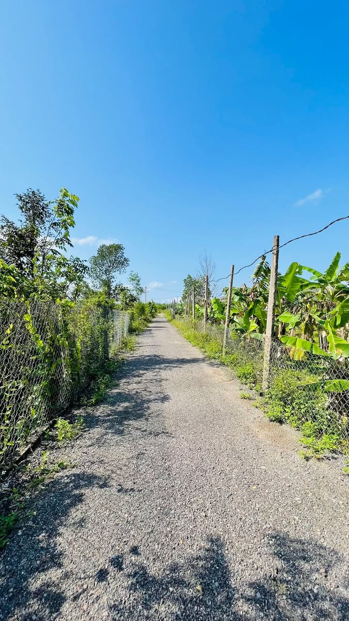 Đất Nền Vân Canh Bình Định 4200m² - Tiềm Năng Trang Trại, Nhà Hàng Sinh Lời