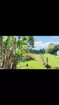 Đất Nền Tuy Phước Bình Định 149m² Giá Tốt - Sẵn Sổ Hồng