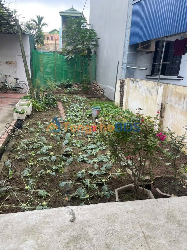 Đất thổ cư 59m² Phượng Mỹ, Phú Xuyên - Sổ đỏ sẵn, giá tốt gần KĐT Mỹ Hưng