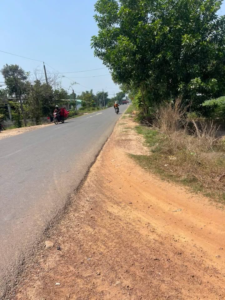 Bán Gấp Đất Vàng Huyện Dương Minh Châu, Tây Ninh - 4550m², Giá Tốt