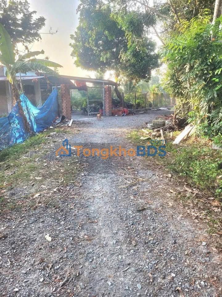 Đất Nền Tân Hưng, Bình Phước - 250m² Giá Tốt Chỉ 235 Triệu