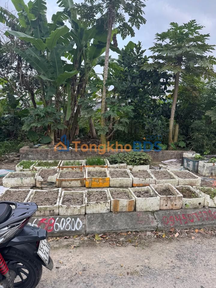 Đất nền 92m² Đồng Hải, Hải Phòng - Giá 2.38 Tỷ, Vị trí đắc địa