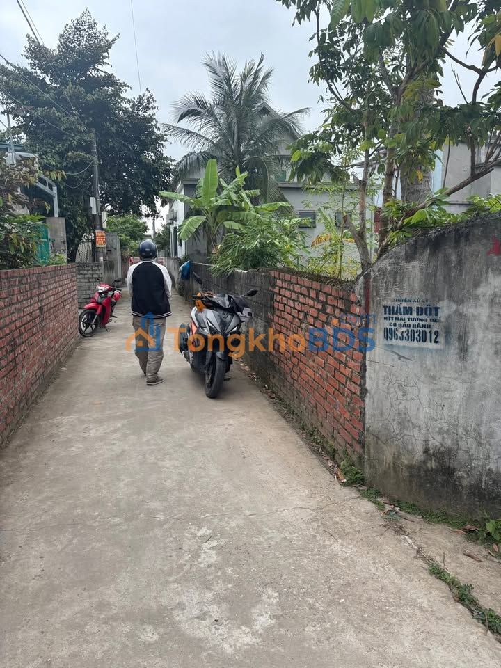 Đất Nền An Lão - Hải Phòng: 80m² Liền Kề, Giá Tốt, Sẵn Sổ