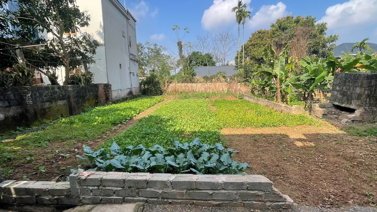 Bán Đất Tường Thụy, Phủ Lý 73m² Full Thổ Cư - Giá Đầu Tư Hời!