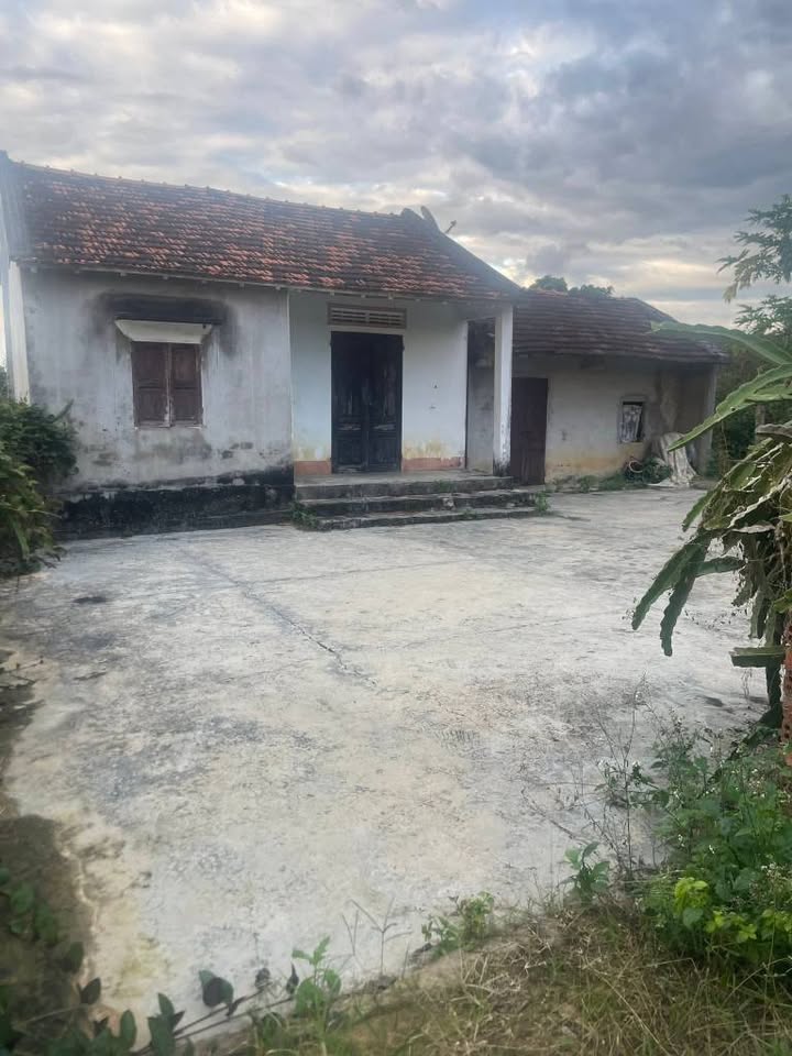 Bán Gấp Nhà Vườn Ea Sinh Đắk Lắk - 2.8 Sào Sầu Riêng, Vải - Sẵn Sổ Hồng