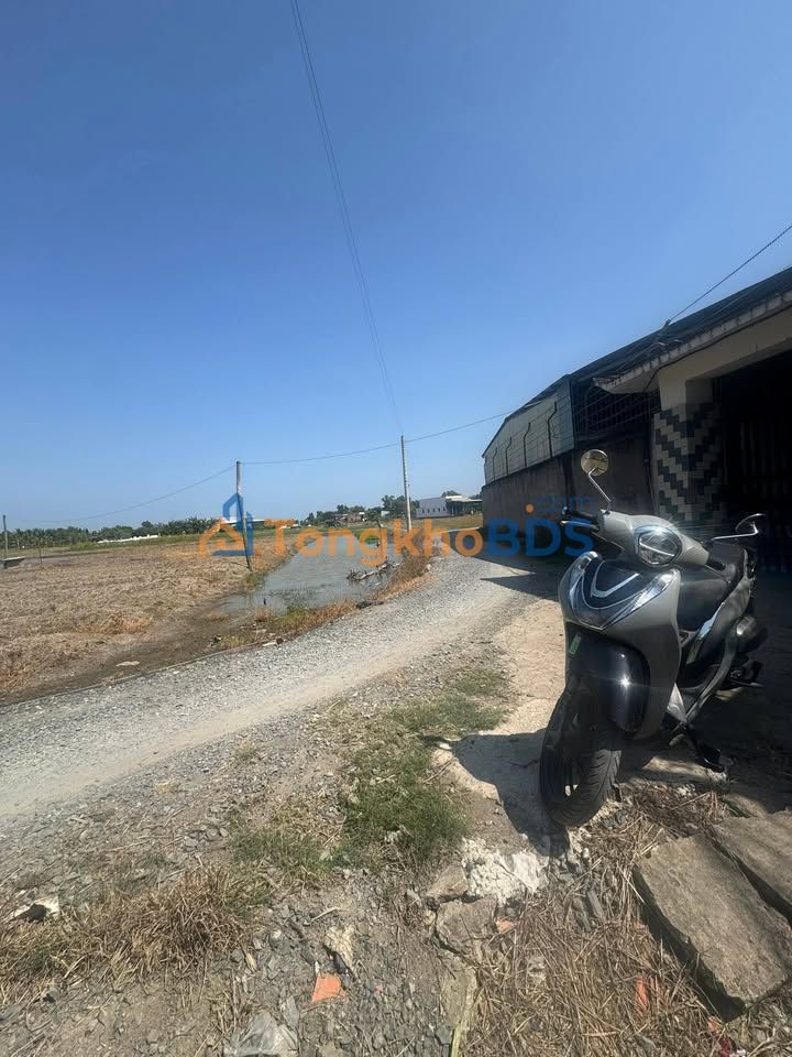 Đất Lúa 400m² Phước Hậu, Cần Giuộc - Sổ Đỏ Sẵn Sàng, Đường Xe Hơi