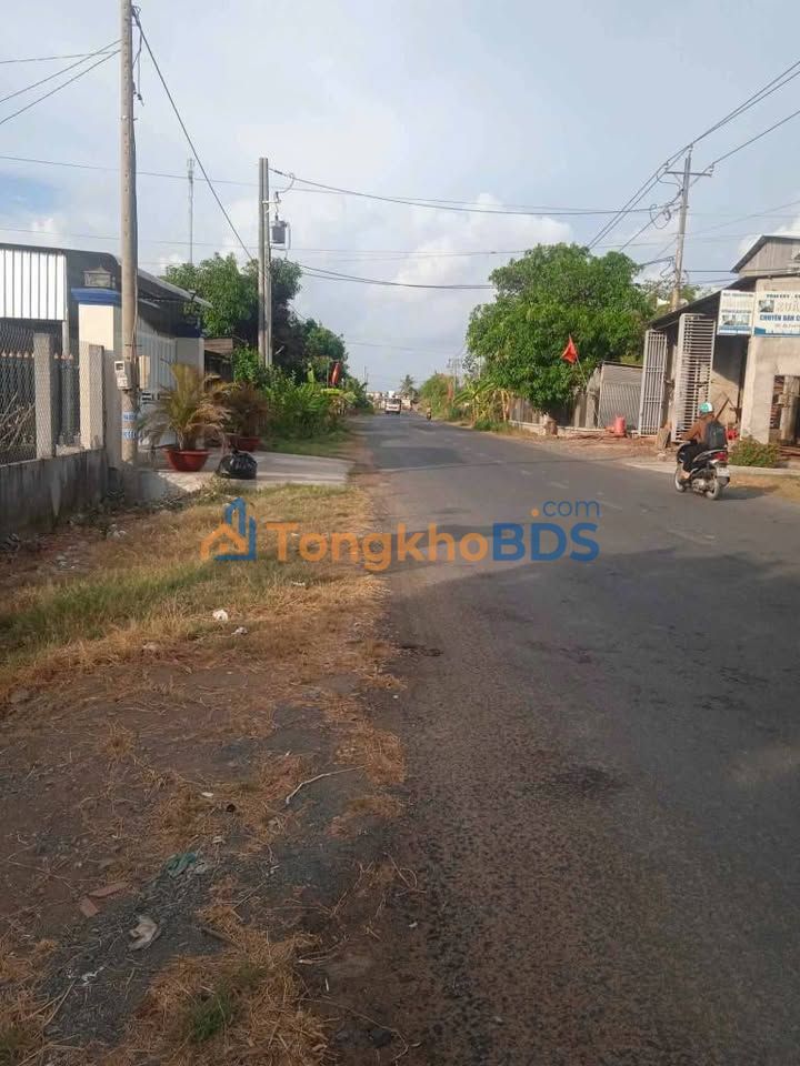 Bán Đất Mặt Tiền Đường Bắc Nam, Bình Đại - 280m² Kinh Doanh Sinh Lời