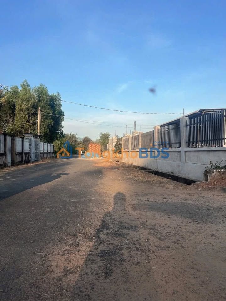 Bán Đất Nền Xã Hòa Hiệp 553.7m² - Sổ Hồng Riêng, Giá 1.3 Tỷ