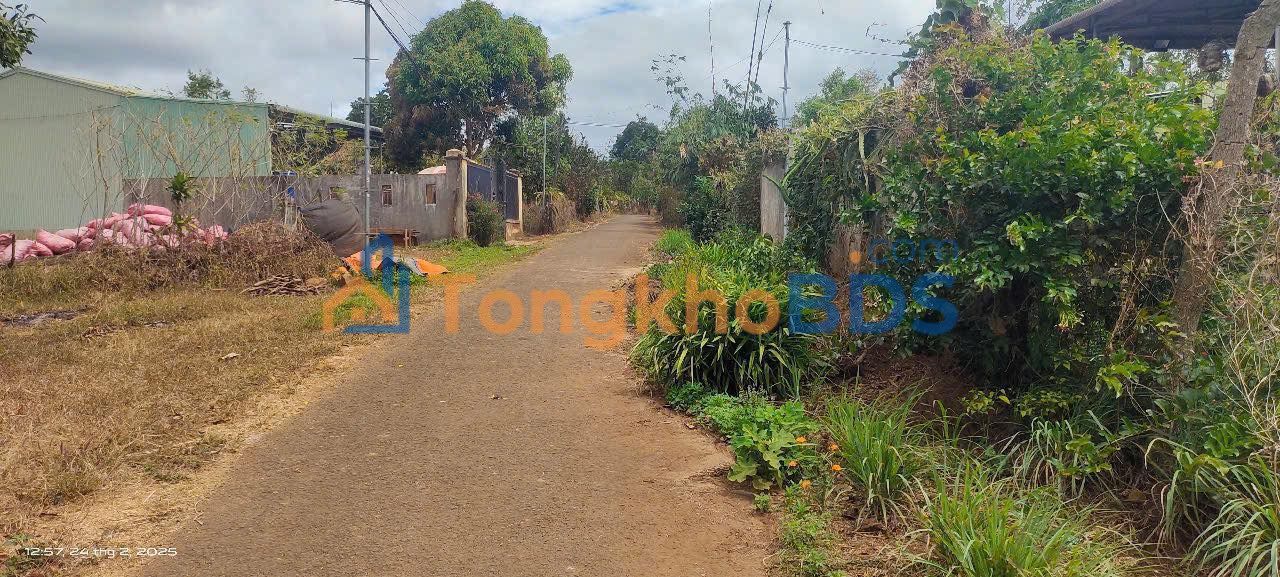 Bán Đất Gia Lai 1632m² Giá 950 Triệu - Chính Chủ, Gia Đình Cần Tiền Giảm Sâu