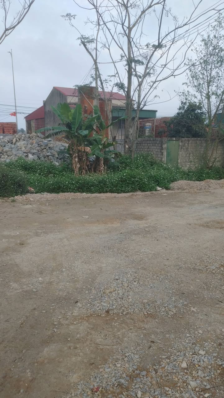 Đất Vàng QL1A Nghi Sơn 140m² - Kinh Doanh Đắc Lợi, Sẵn Sàng Xây Dựng