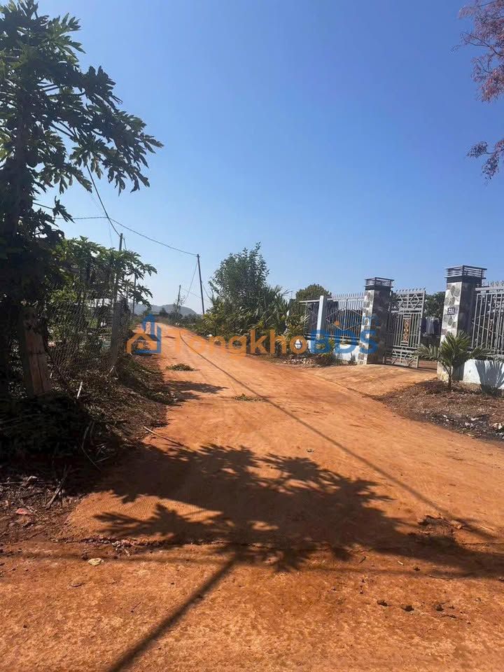 Bán Đất Nền Tân Phú, Đồng Nai - Sổ Đỏ 492m², Giá Chỉ Từ 1.2 Tỷ