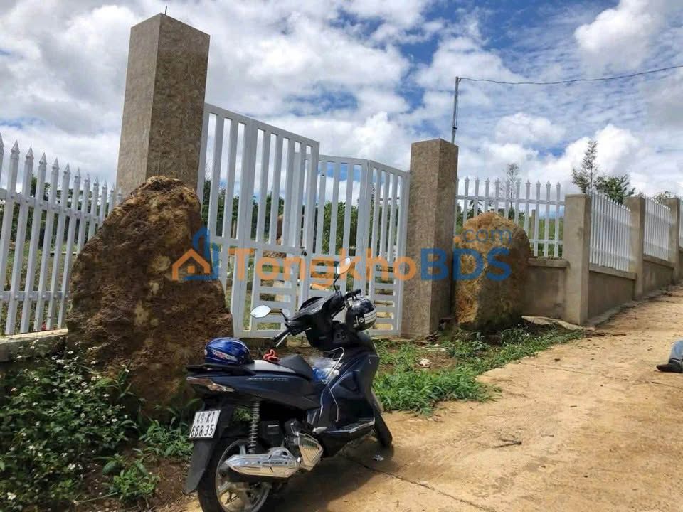 Bán đất 500m² hẻm Chi Lăng, Bình Tân - Sổ đỏ sẵn, ô tô vào tận nơi