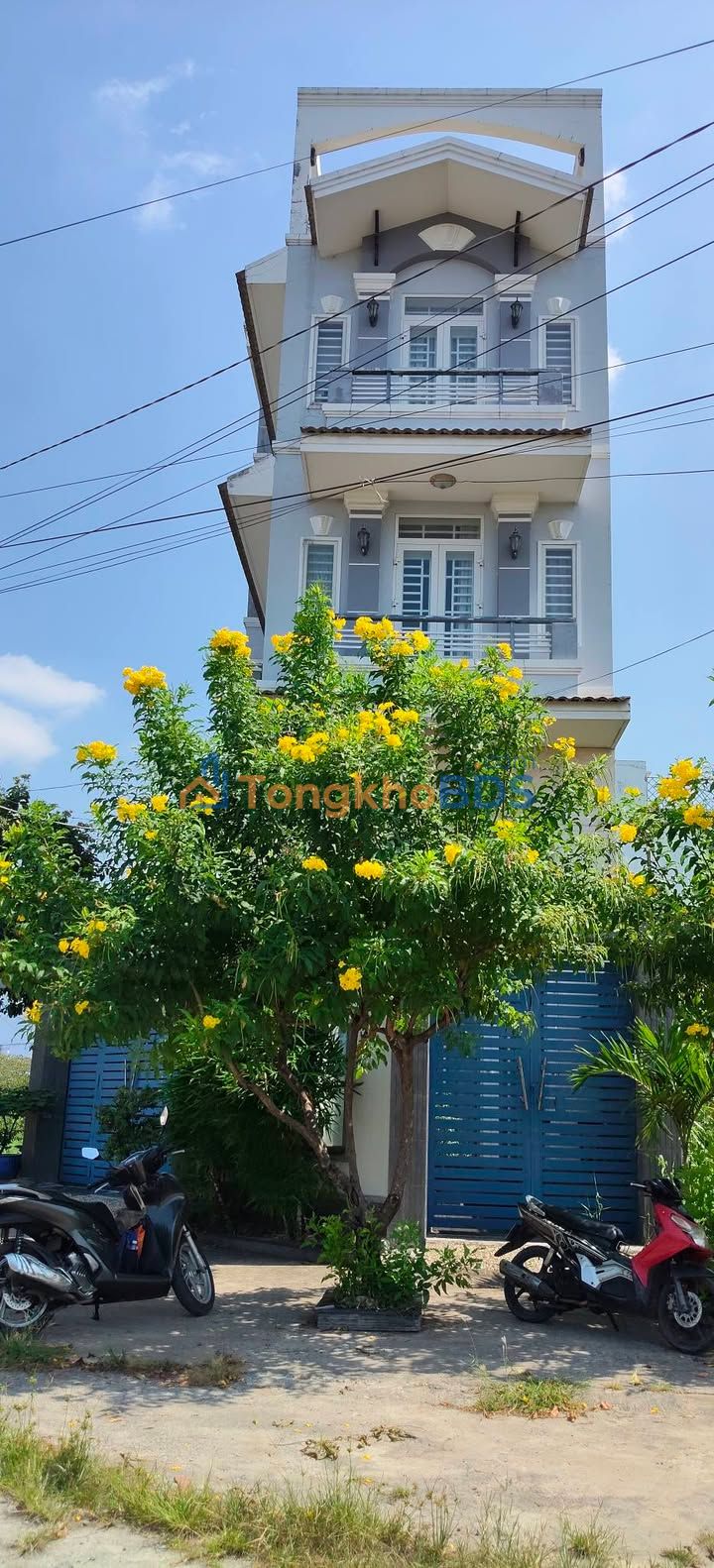 Đất Phân Lô Đường D1, P7, Q8 (105m²) - Sổ Hồng Riêng, Giá Tốt