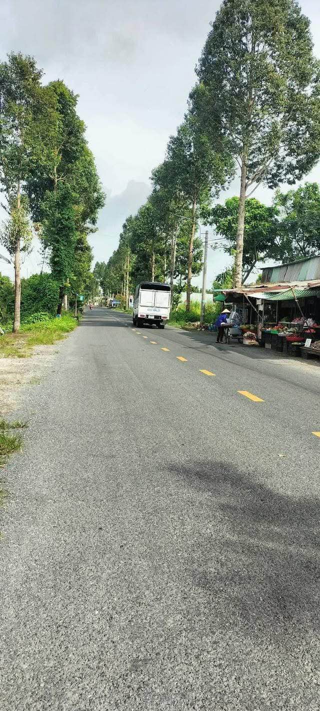 Đất Vườn Sầu Riêng 1096m² Mặt Tiền Tỉnh Lộ 919 - Hậu Giang